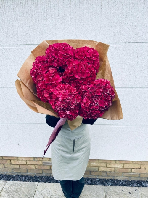 Armful of Hydrangeas