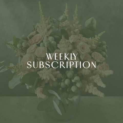 Weekly Subscription